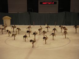 2006-03-25 20-25-51_0007